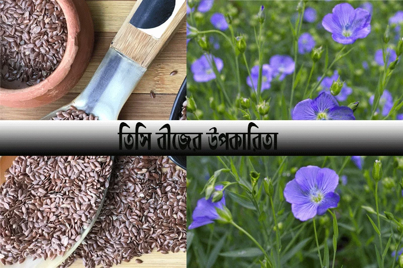 তিসি বীজের উপকারিতা- Benefits of Flax seeds
